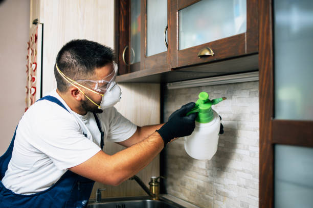 Best Bed Bug Extermination  in Mckinney, TX