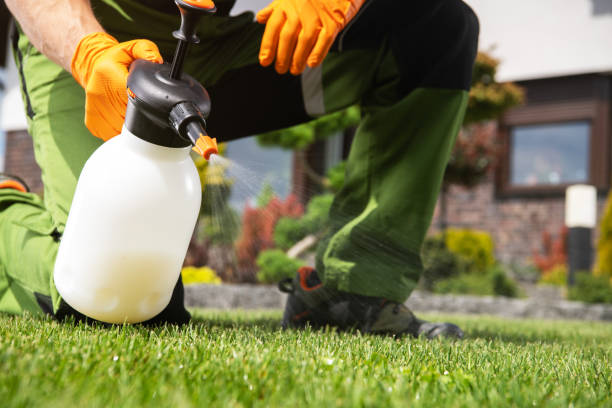 Best Rat Extermination Near Me  in Mckinney, TX