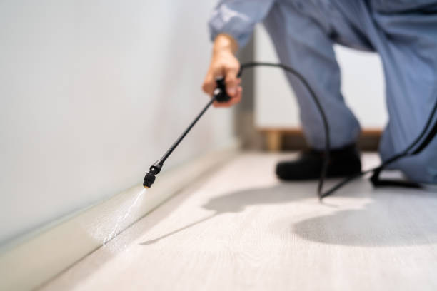 Reliable Mckinney, TX Pest Control Solutions